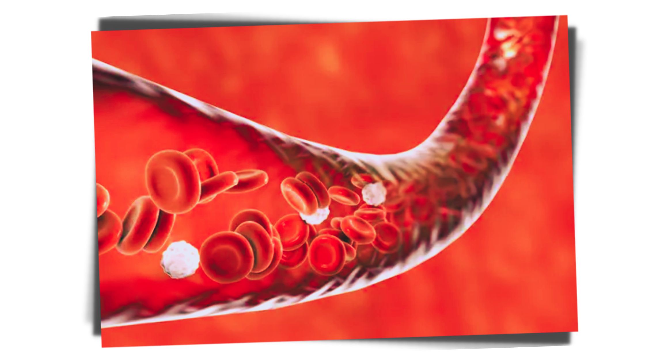 Vasodilation a SECRET Benefit of Tai Chi EXPLAINED